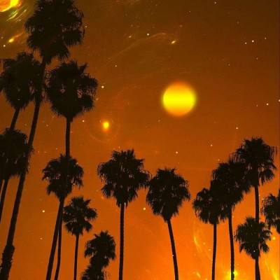 亚洲体育官网登录截图