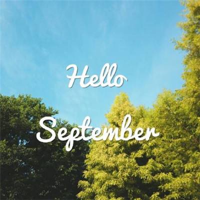 博鱼app手机app下载