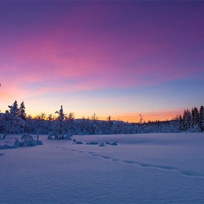 幸运28下载手机版截图
